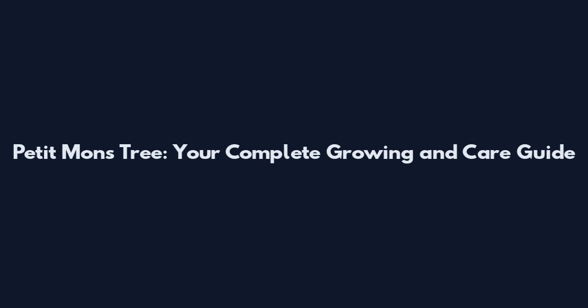 Petit Mons Tree: Your Complete Growing and Care Guide