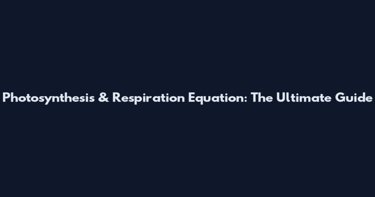 Photosynthesis & Respiration Equation: The Ultimate Guide