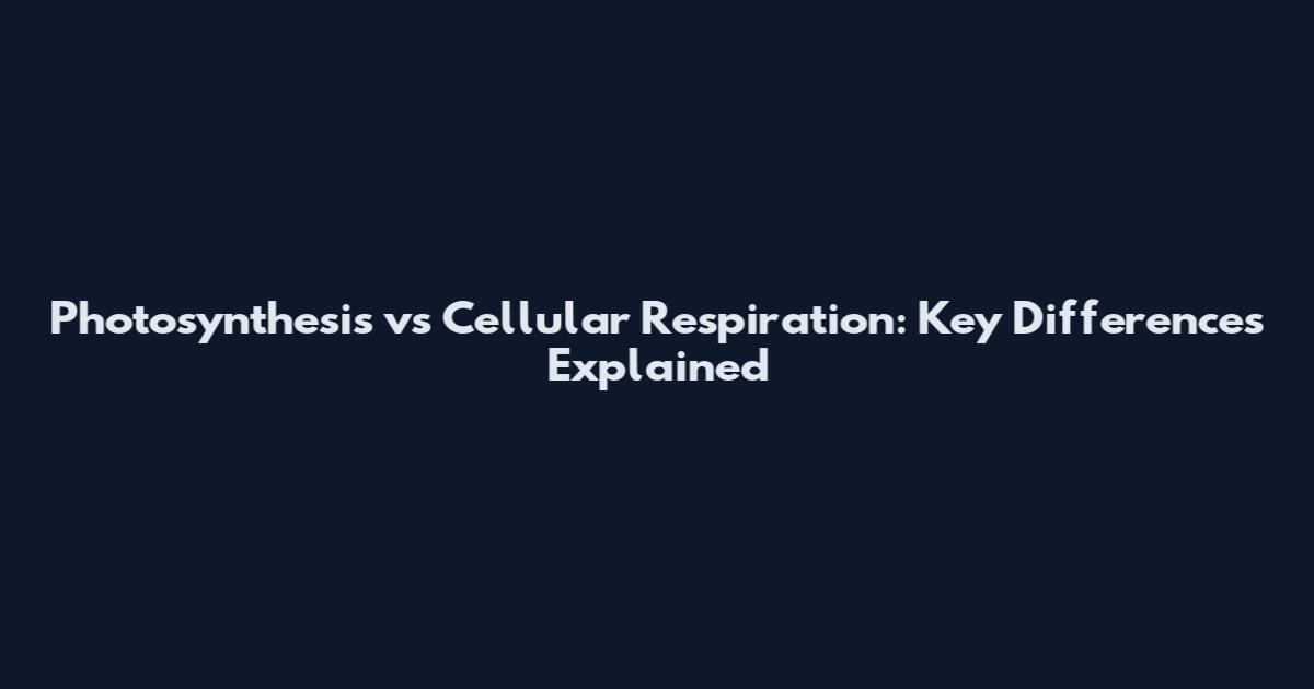 Photosynthesis vs Cellular Respiration: Key Differences Explained