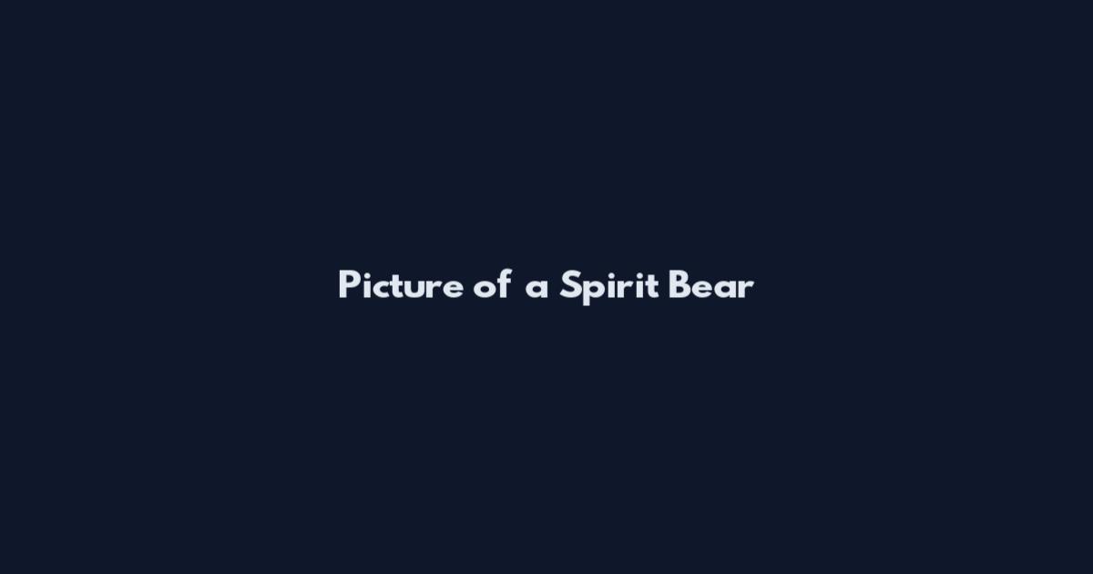 Picture of a Spirit Bear