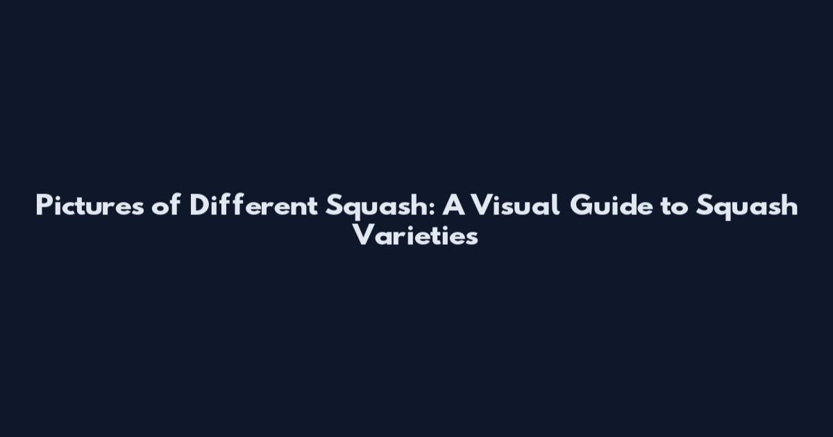 Pictures of Different Squash: A Visual Guide to Squash Varieties