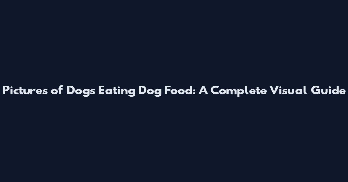Pictures of Dogs Eating Dog Food: A Complete Visual Guide