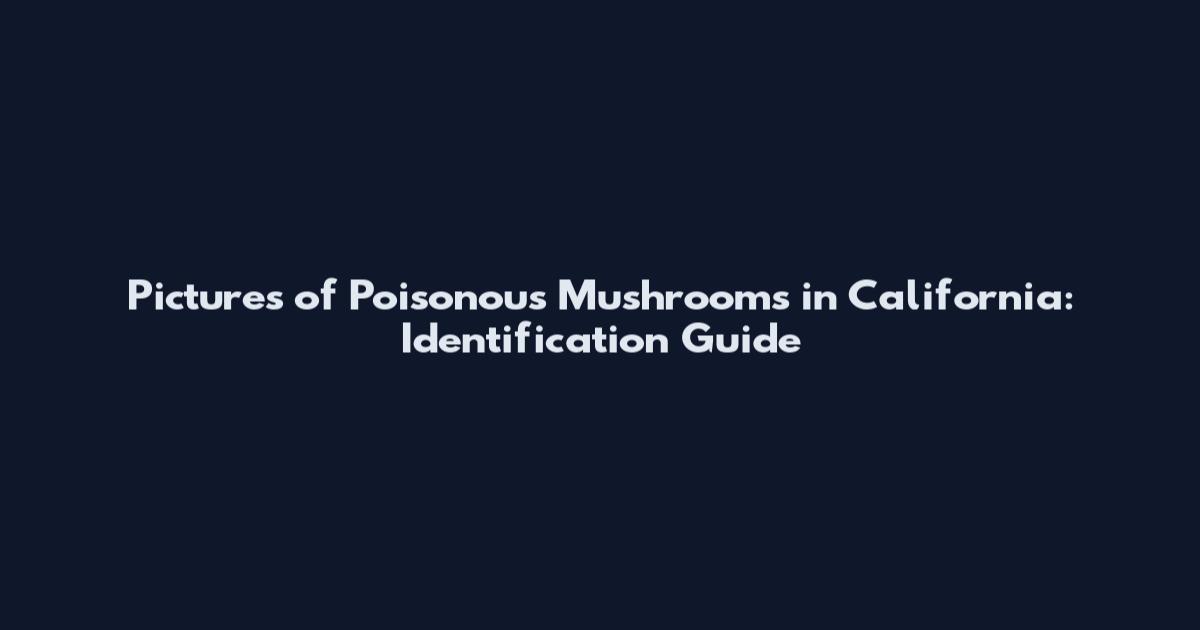 Pictures of Poisonous Mushrooms in California: Identification Guide