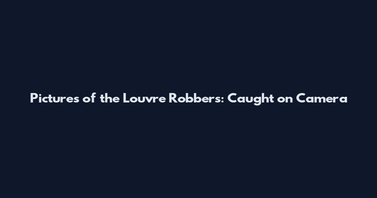 Pictures of the Louvre Robbers: Caught on Camera