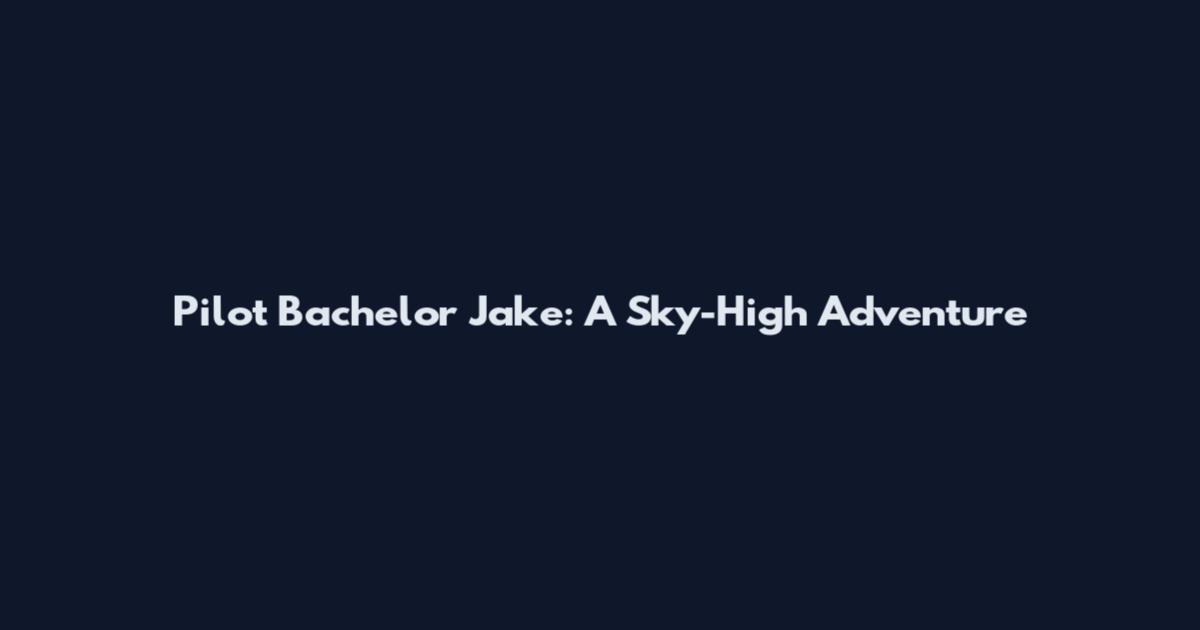 Pilot Bachelor Jake: A Sky-High Adventure