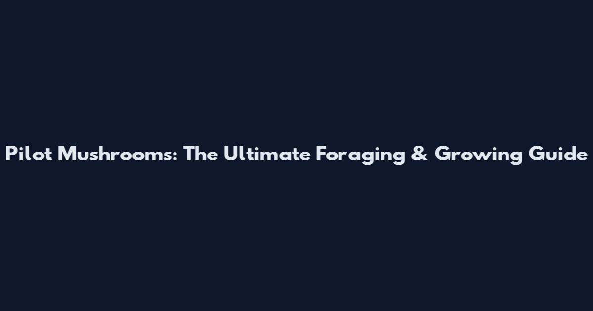Pilot Mushrooms: The Ultimate Foraging & Growing Guide