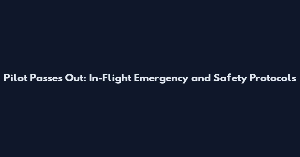 Pilot Passes Out: In-Flight Emergency and Safety Protocols