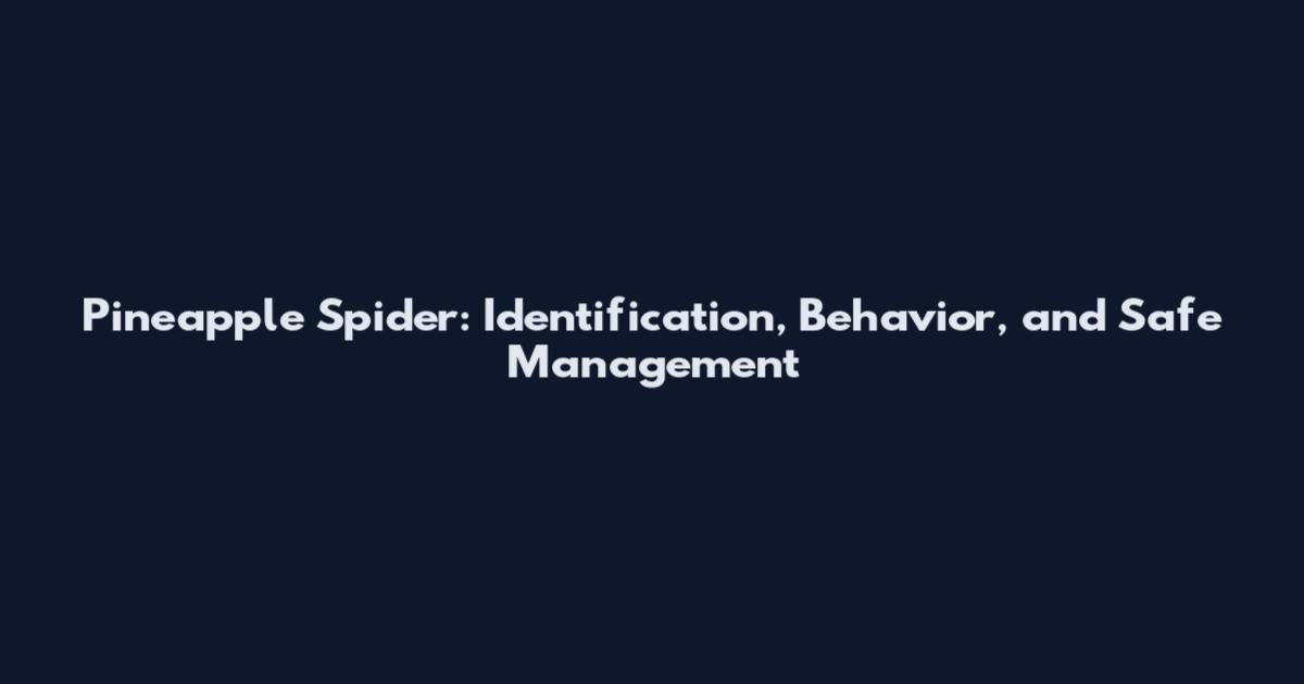 Pineapple Spider: Identification, Behavior, and Safe Management