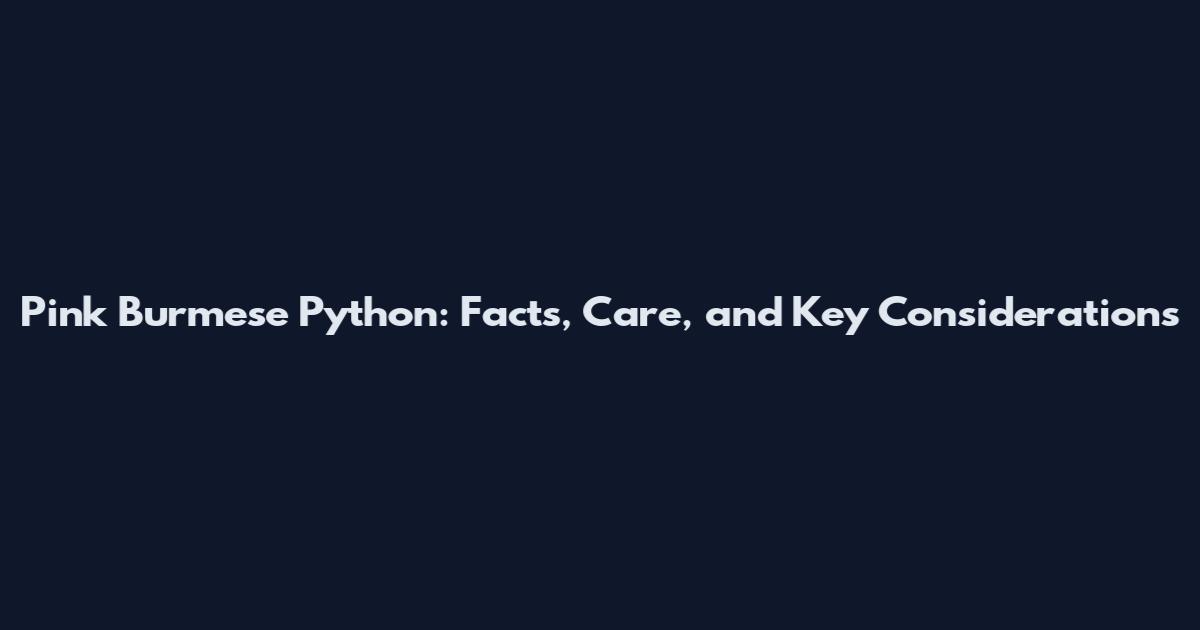 Pink Burmese Python: Facts, Care, and Key Considerations