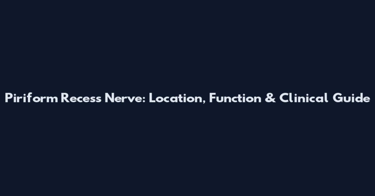 Piriform Recess Nerve: Location, Function & Clinical Guide