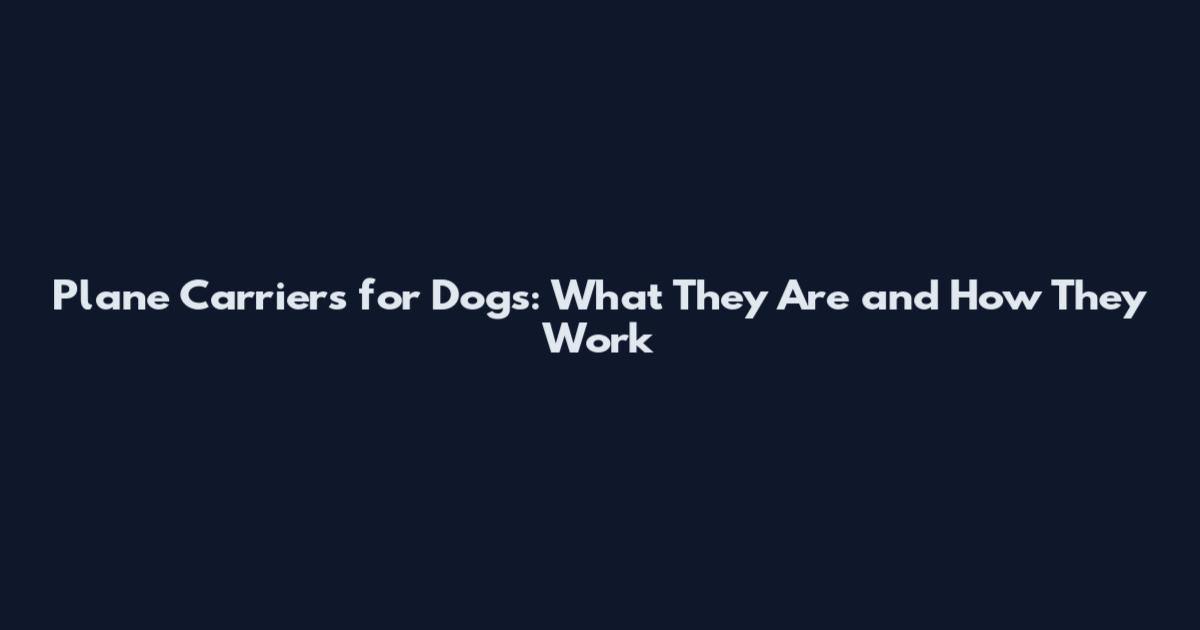 Plane Carriers for Dogs: What They Are and How They Work