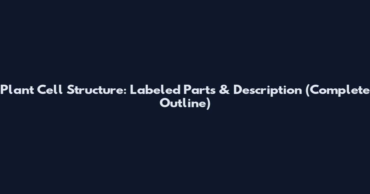 Plant Cell Structure: Labeled Parts & Description (Complete Outline)