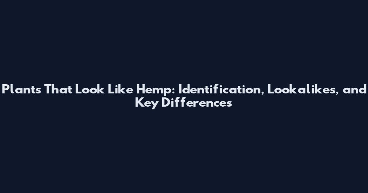 Plants That Look Like Hemp: Identification, Lookalikes, and Key Differences