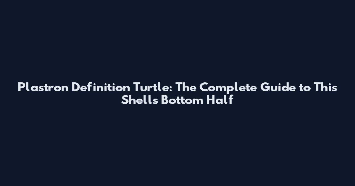 Plastron Definition Turtle: The Complete Guide to This Shell's Bottom Half