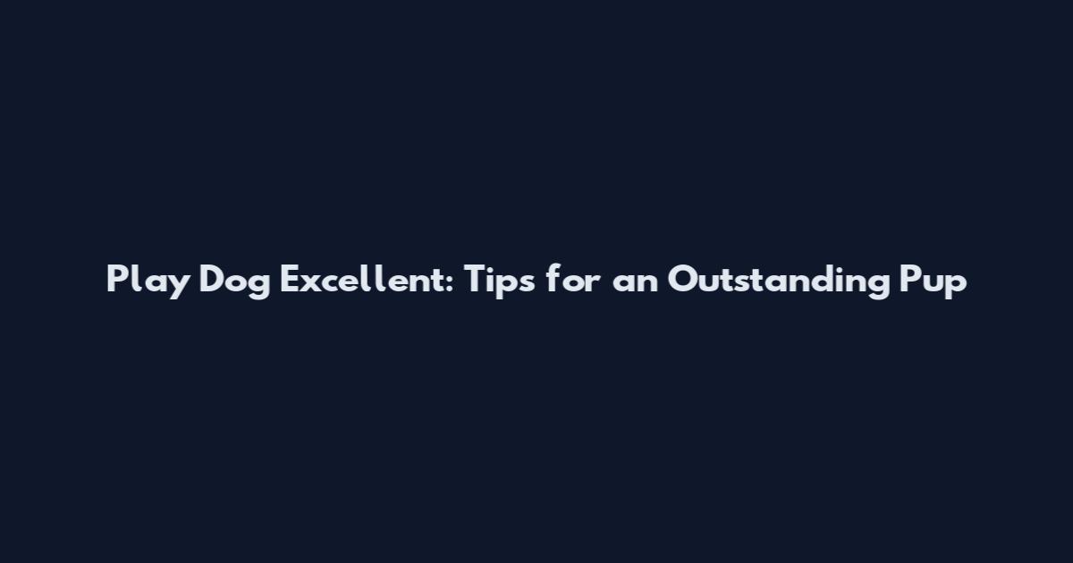 Play Dog Excellent: Tips for an Outstanding Pup