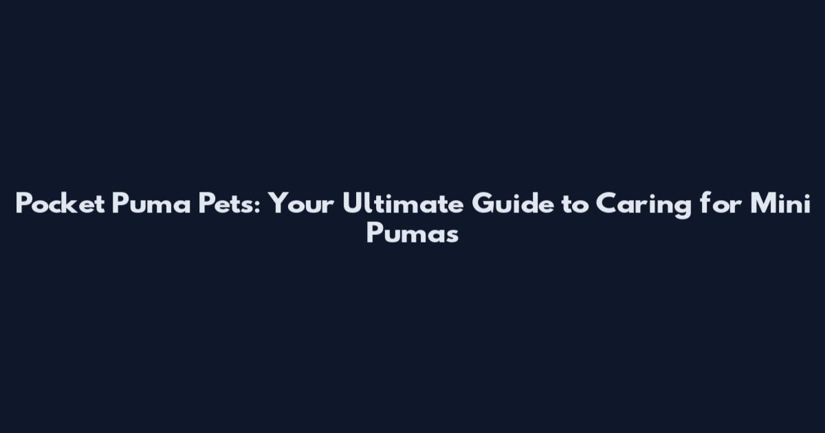 Pocket Puma Pets: Your Ultimate Guide to Caring for Mini Pumas