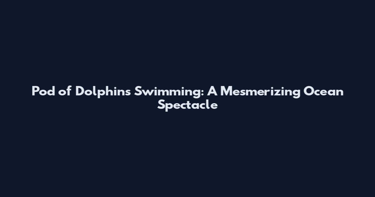 Pod of Dolphins Swimming: A Mesmerizing Ocean Spectacle