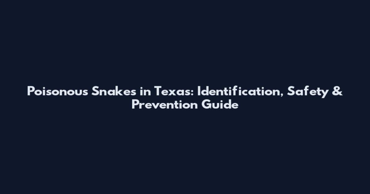 Poisonous Snakes in Texas: Identification, Safety & Prevention Guide