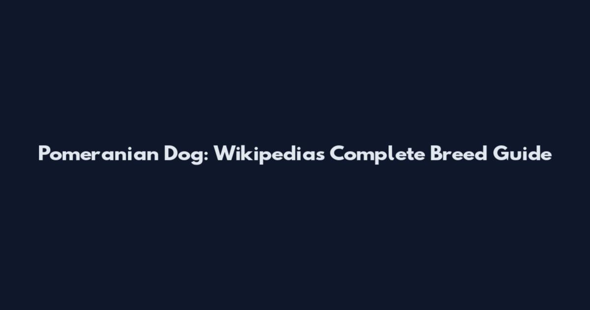 Pomeranian Dog: Wikipedia's Complete Breed Guide