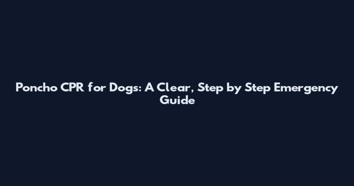Poncho CPR for Dogs: A Clear, Step by Step Emergency Guide