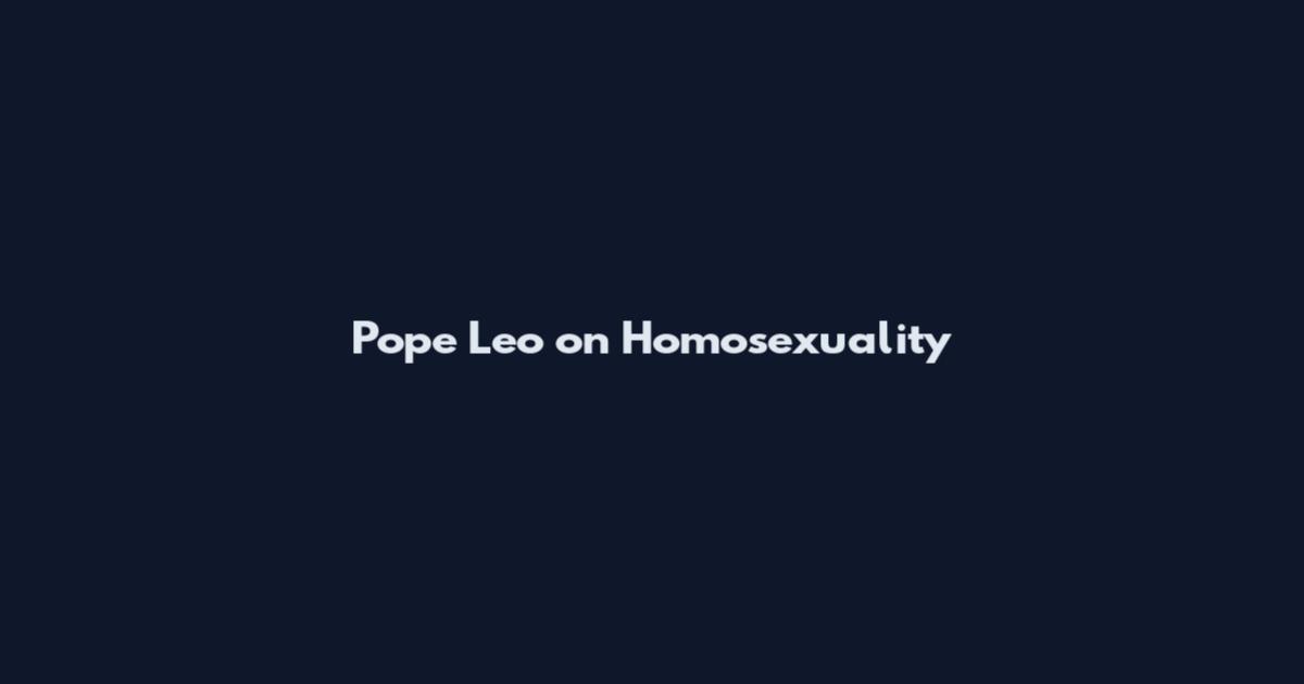 Pope Leo on Homosexuality