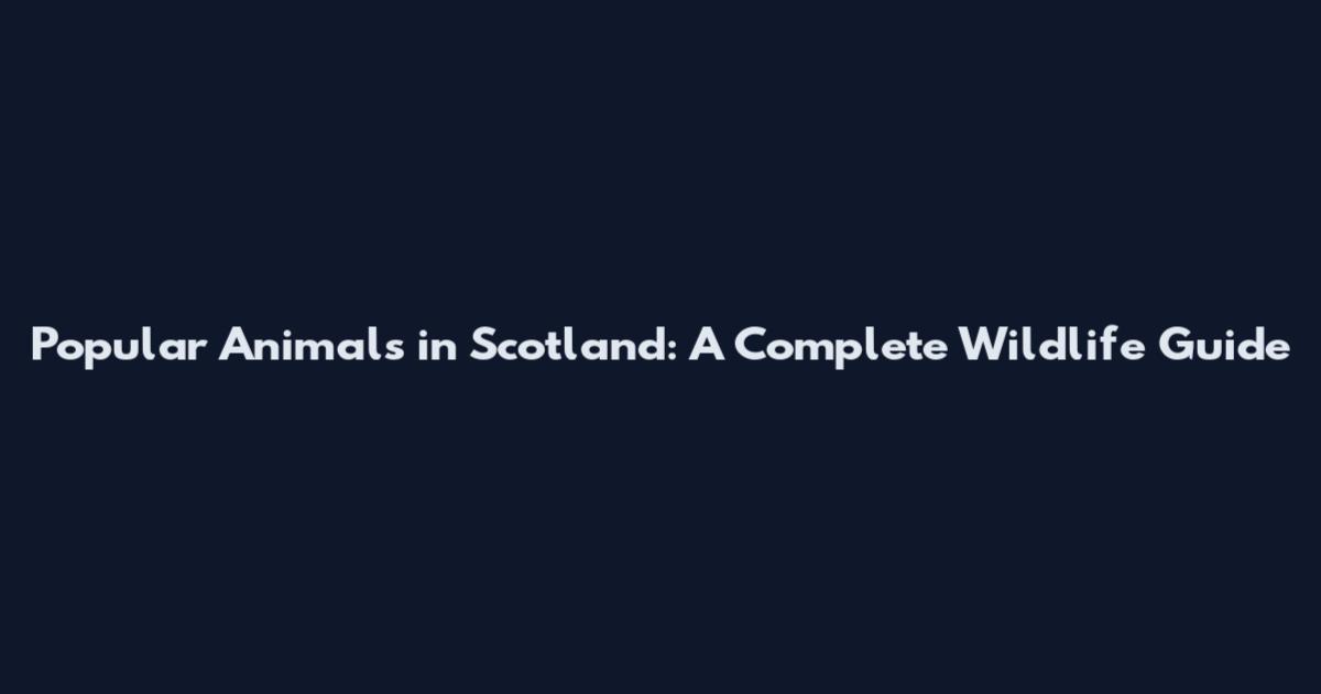 Popular Animals in Scotland: A Complete Wildlife Guide