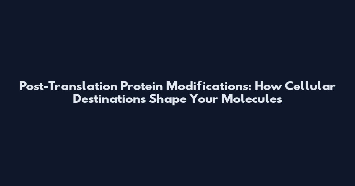 Post-Translation Protein Modifications: How Cellular Destinations Shape Your Molecules