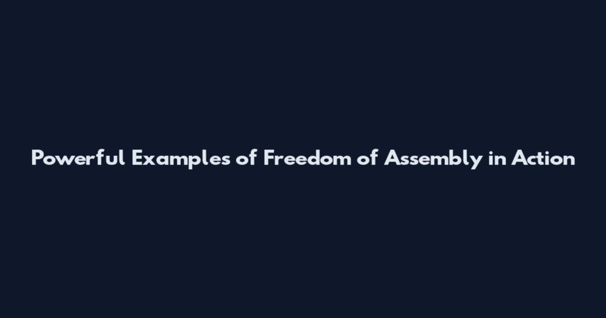 Powerful Examples of Freedom of Assembly in Action