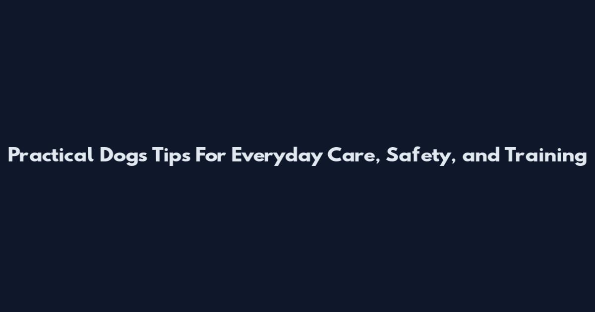 Practical Dogs Tips For Everyday Care, Safety, and Training