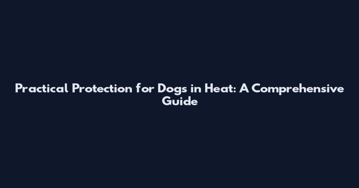 Practical Protection for Dogs in Heat: A Comprehensive Guide