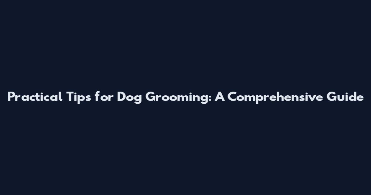 Practical Tips for Dog Grooming: A Comprehensive Guide