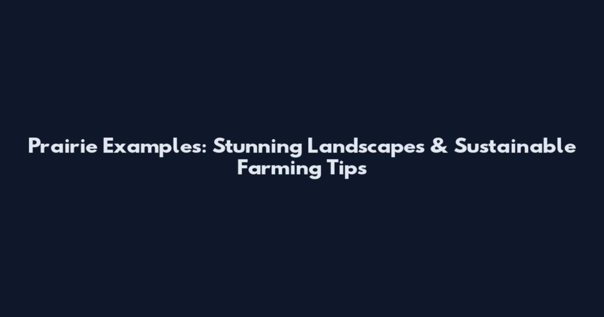 Prairie Examples: Stunning Landscapes & Sustainable Farming Tips