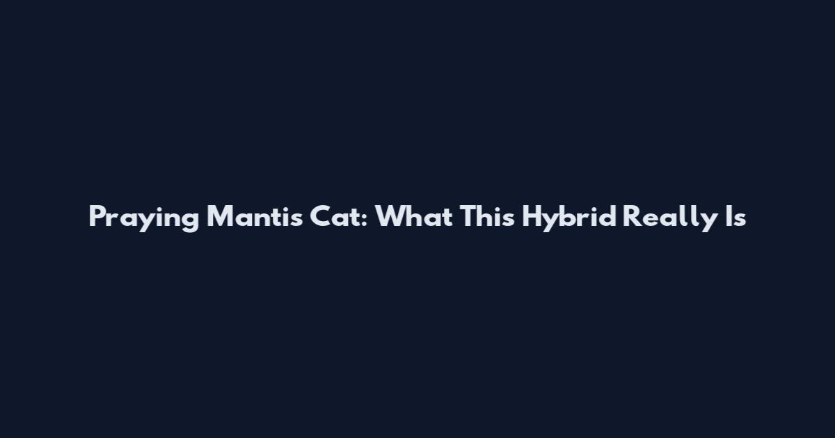 Praying Mantis Cat: What This Hybrid Really Is