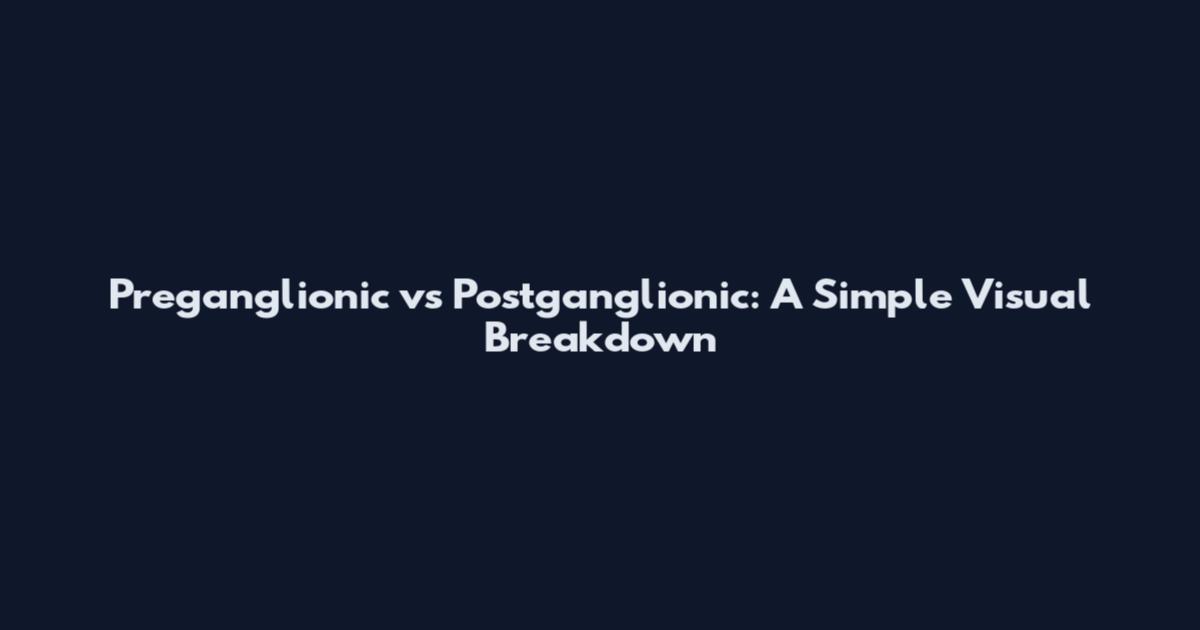 Preganglionic vs Postganglionic: A Simple Visual Breakdown