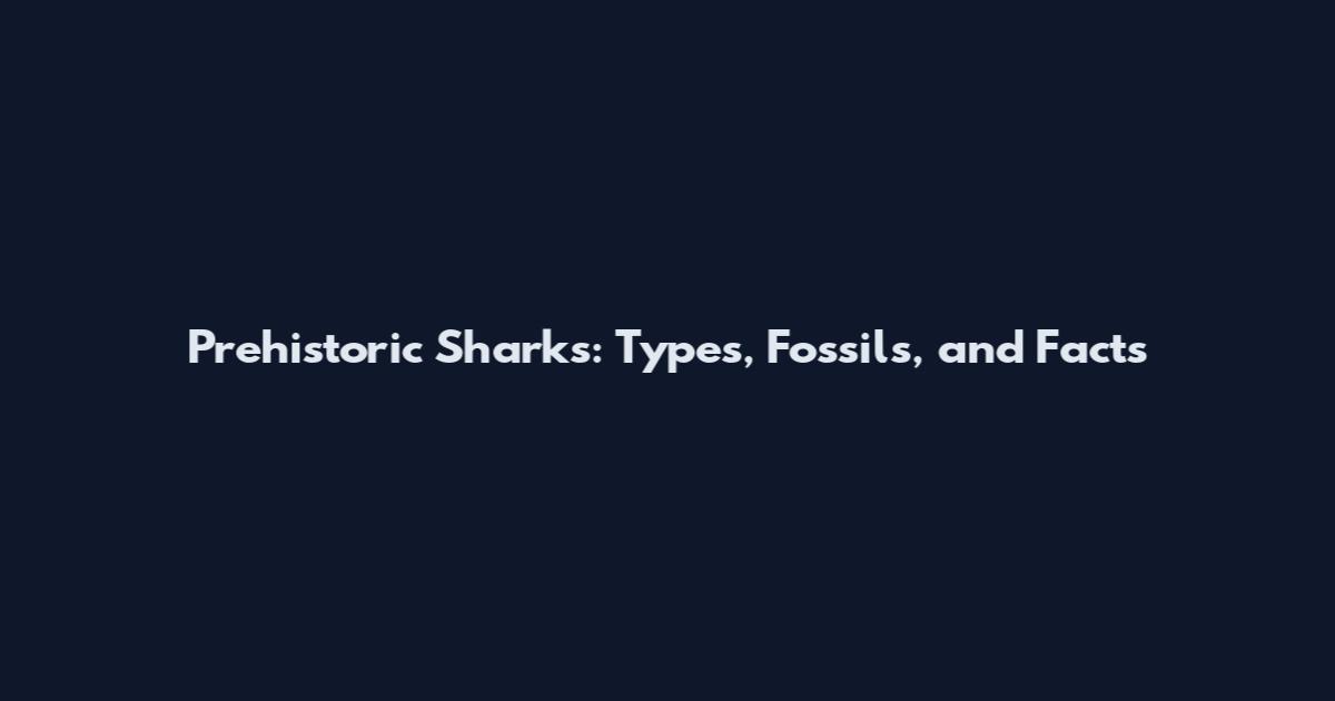 Prehistoric Sharks: Types, Fossils, and Facts