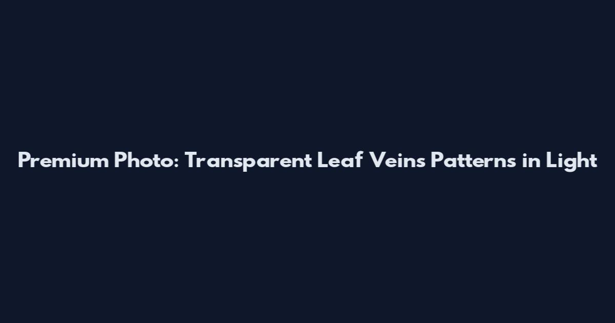 Premium Photo: Transparent Leaf Veins Patterns in Light