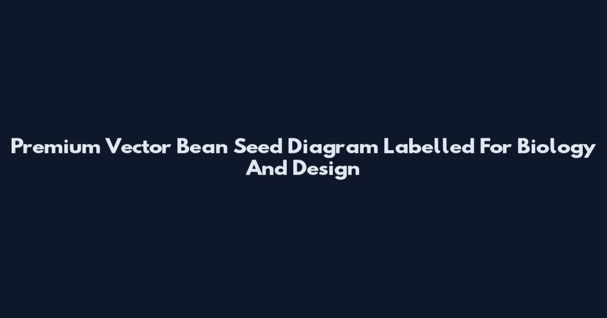 Premium Vector Bean Seed Diagram Labelled For Biology And Design