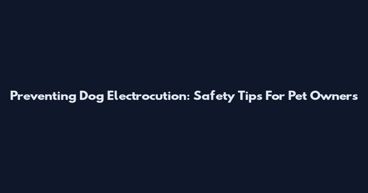 Preventing Dog Electrocution: Safety Tips For Pet Owners
