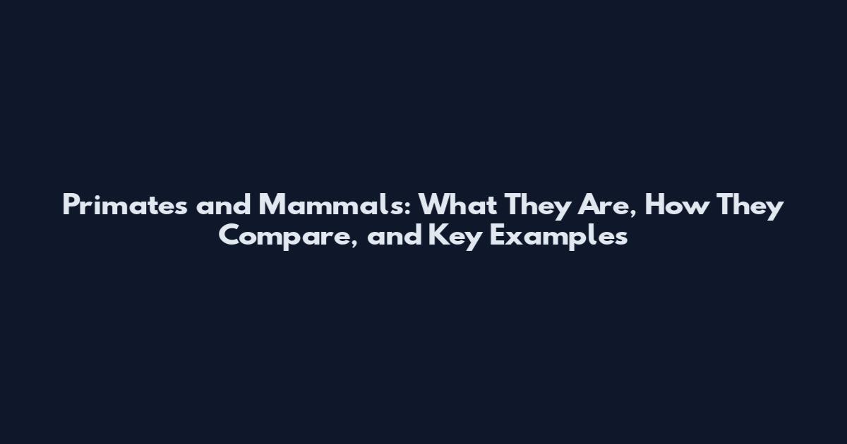 Primates and Mammals: What They Are, How They Compare, and Key Examples