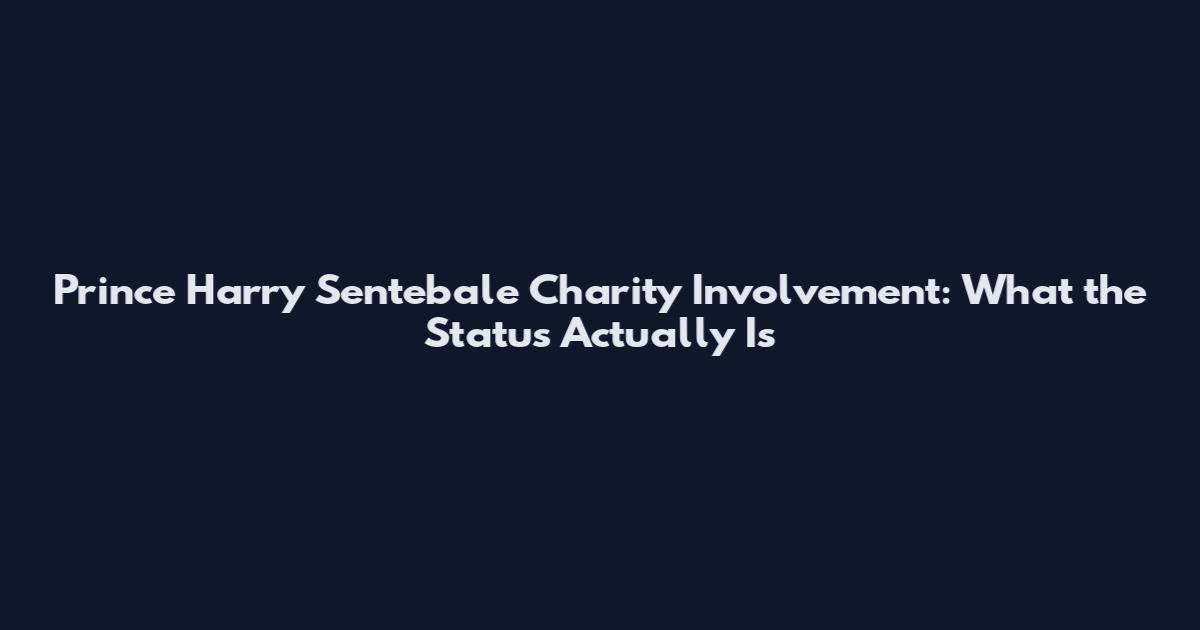 Prince Harry Sentebale Charity Involvement: What the Status Actually Is