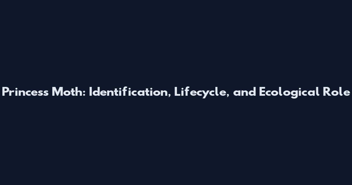 Princess Moth: Identification, Lifecycle, and Ecological Role