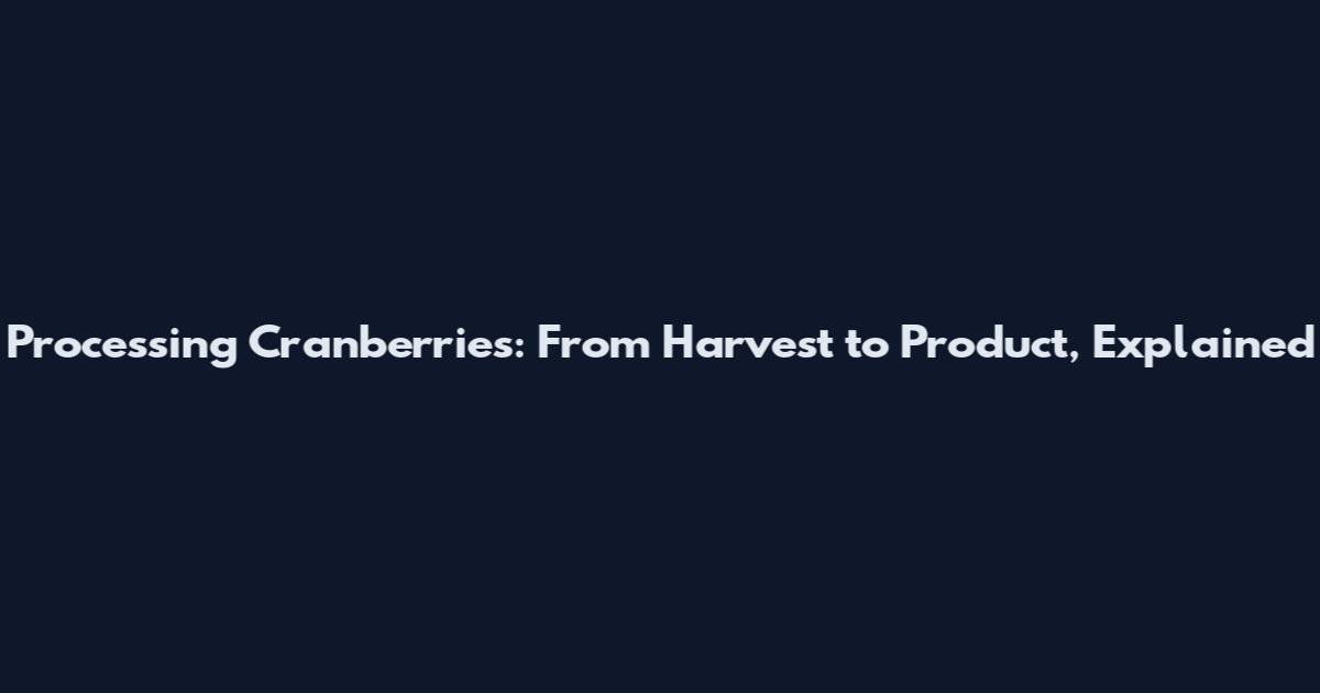 Processing Cranberries: From Harvest to Product, Explained