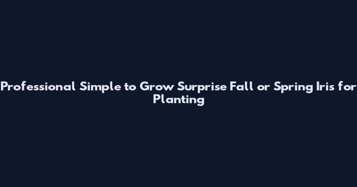 Professional Simple to Grow Surprise Fall or Spring Iris for Planting