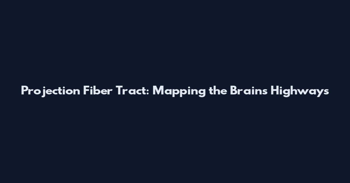 Projection Fiber Tract: Mapping the Brain's Highways