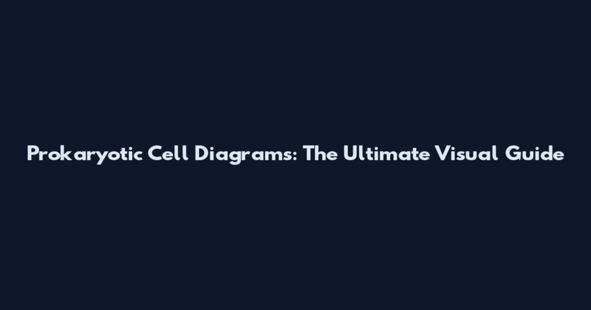Prokaryotic Cell Diagrams: The Ultimate Visual Guide