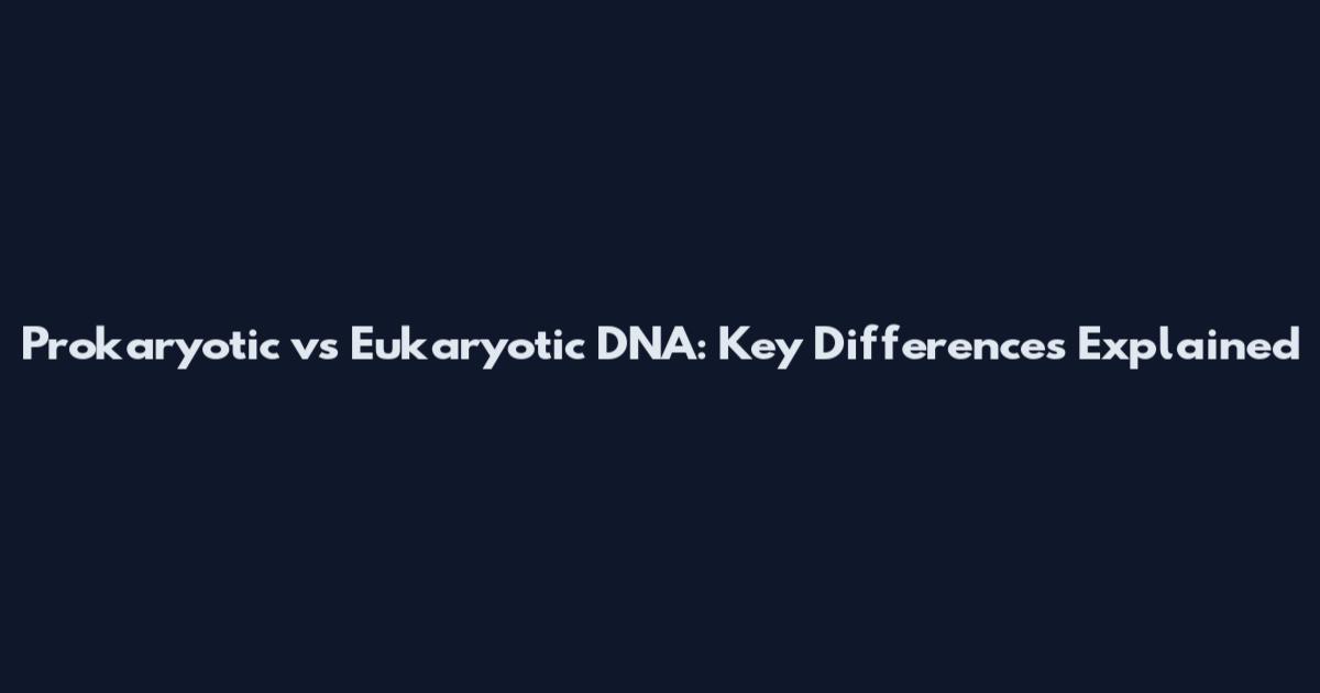 Prokaryotic vs Eukaryotic DNA: Key Differences Explained