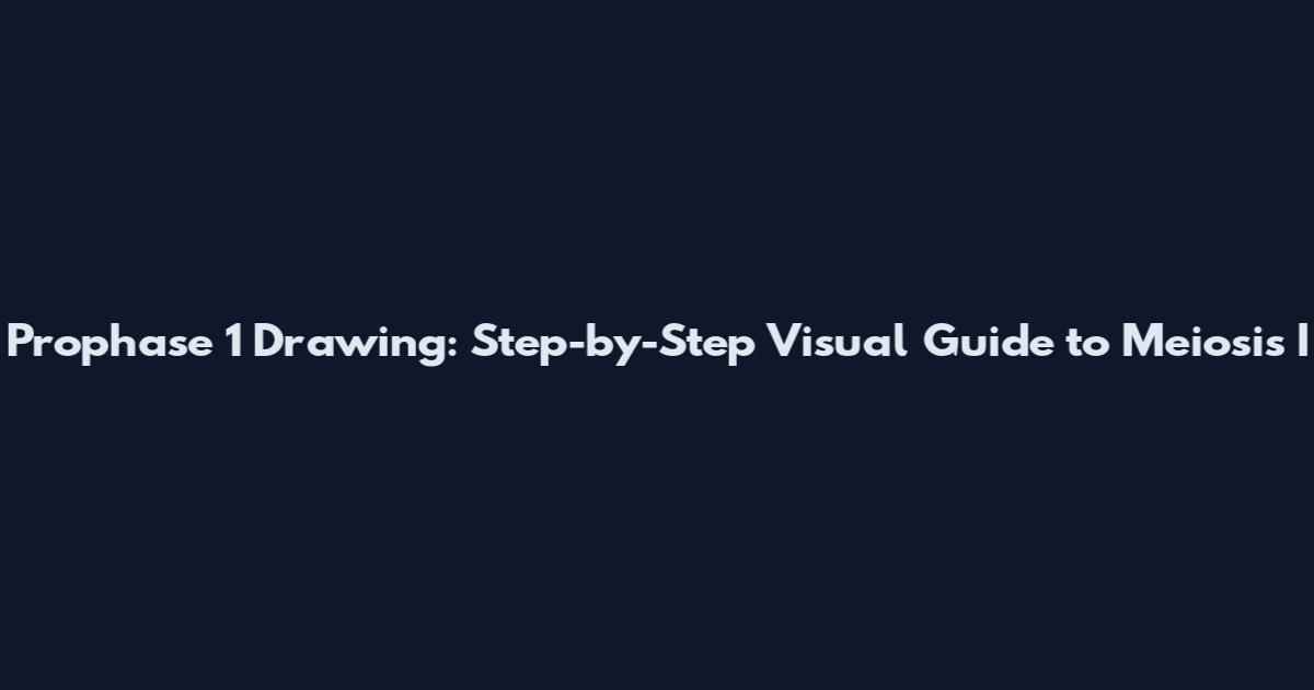 Prophase 1 Drawing: Step-by-Step Visual Guide to Meiosis I