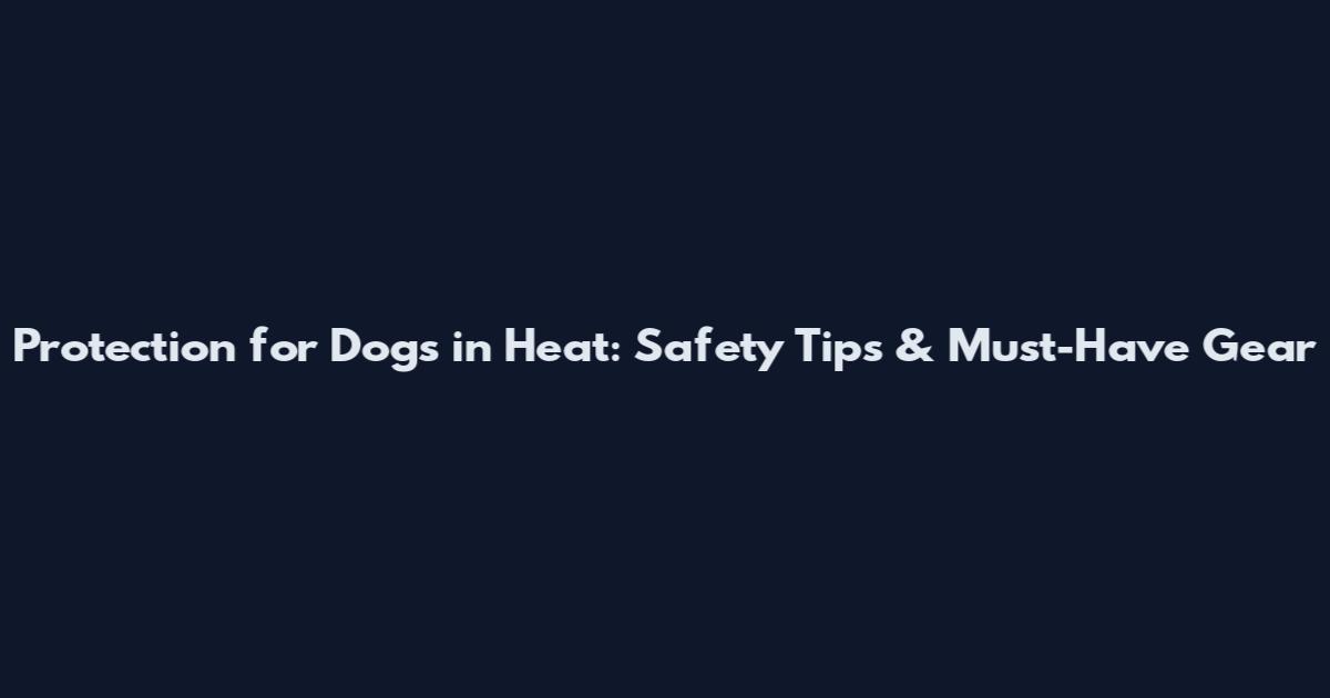 Protection for Dogs in Heat: Safety Tips & Must-Have Gear