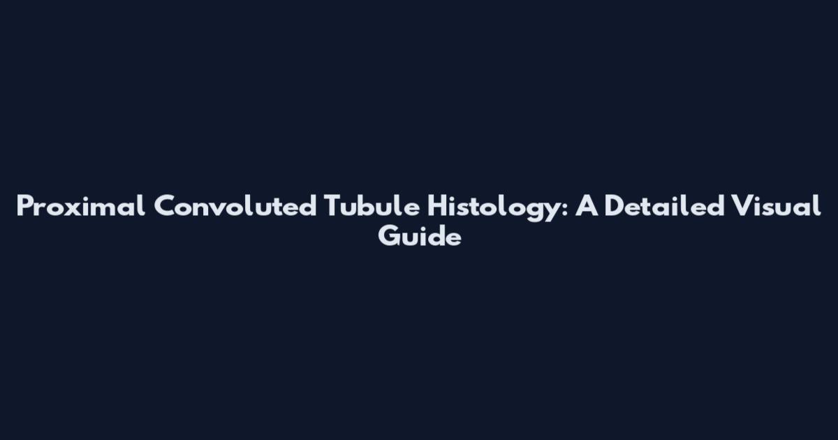Proximal Convoluted Tubule Histology: A Detailed Visual Guide