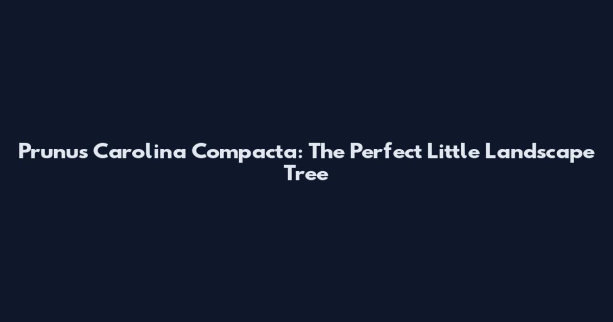 Prunus Carolina Compacta: The Perfect Little Landscape Tree